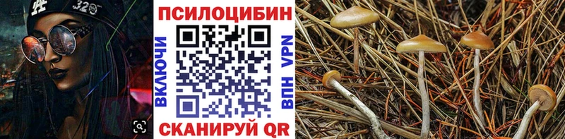 Псилоцибиновые грибы Cubensis  МЕГА ссылки  Новотроицк 