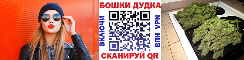 hydra tor  Новотроицк  Бошки Шишки SATIVA & INDICA  купить наркотики цена 
